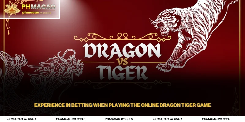 Experience in betting when playing the online Dragon Tiger game