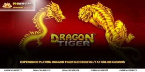 Experience Playing Dragon Tiger Successfully at Online Casinos