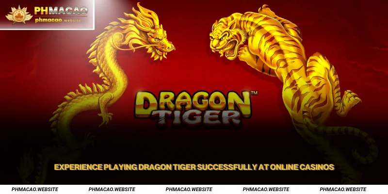 Experience Playing Dragon Tiger Successfully at Online Casinos